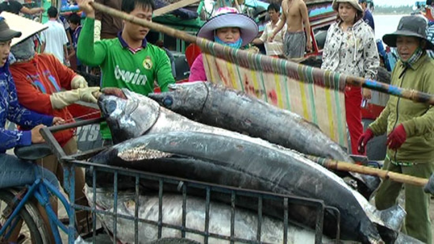 
        Tuna firms eye 8% export rise
                              