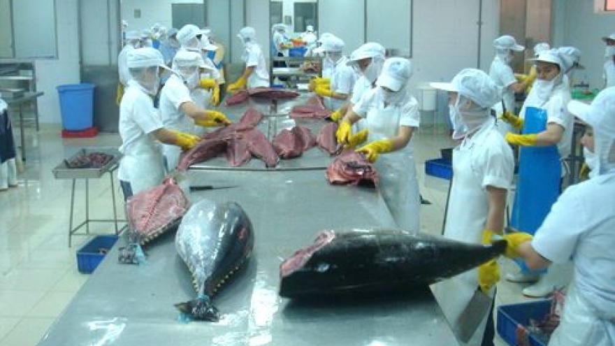 Vietnam exports tuna products to 140 countries