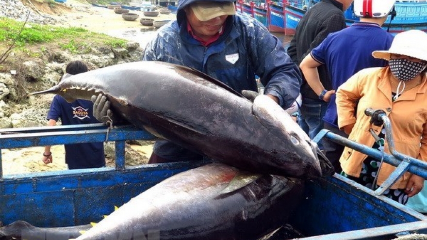 Vietnam’s exporters advised to expand tuna exports to Middle East