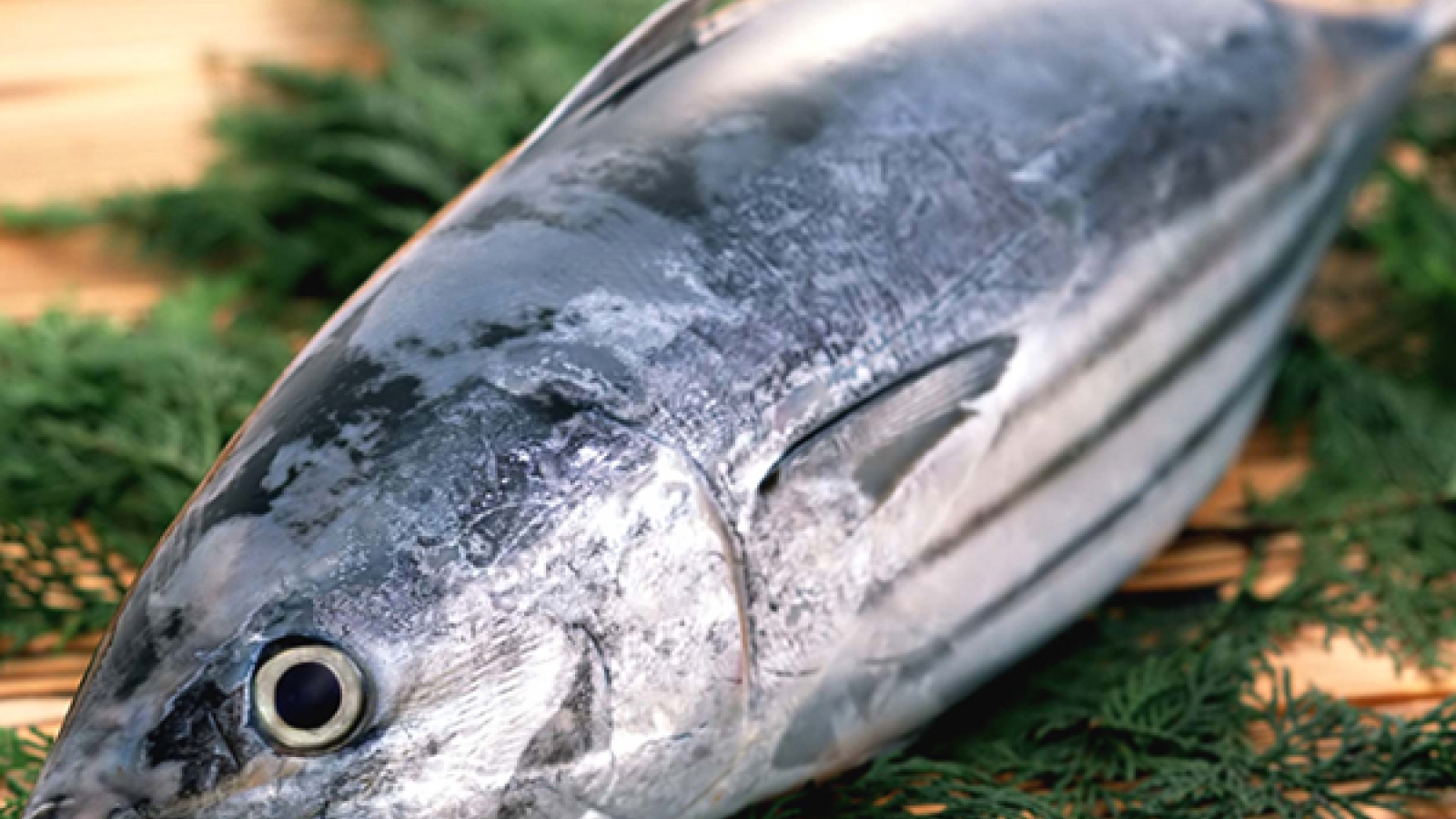 US FDA warns about hepatitis A in frozen tuna from Vietnam
