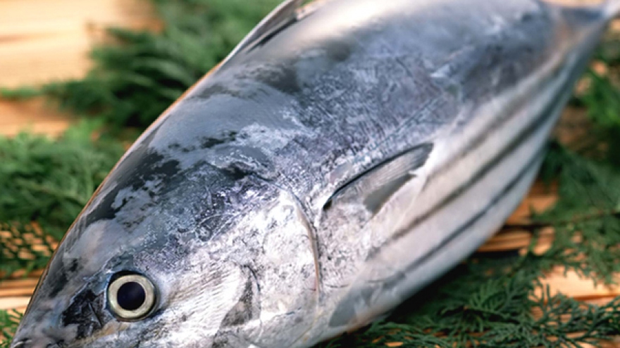 US FDA warns about hepatitis A in frozen tuna from Vietnam
