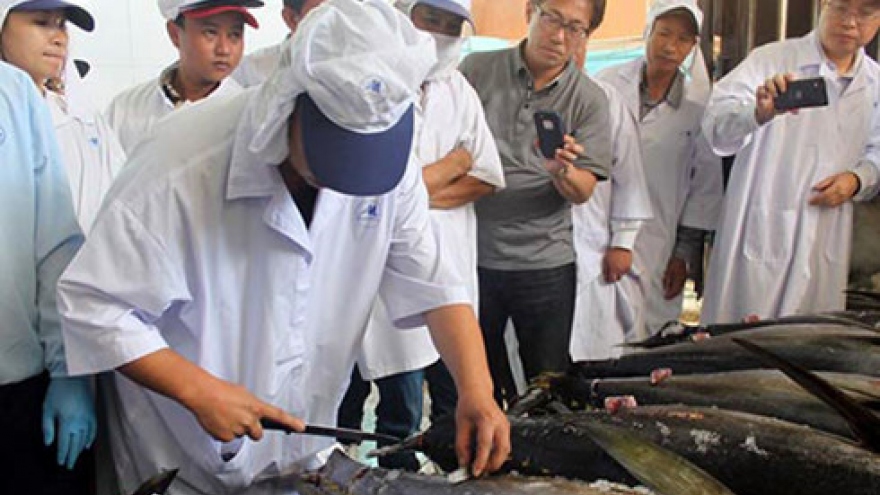 Vietnam tuna catches face penalties in Japan