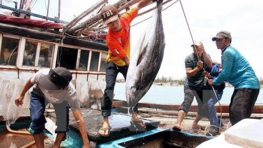 Vietnam tuna exports exceed yearly target