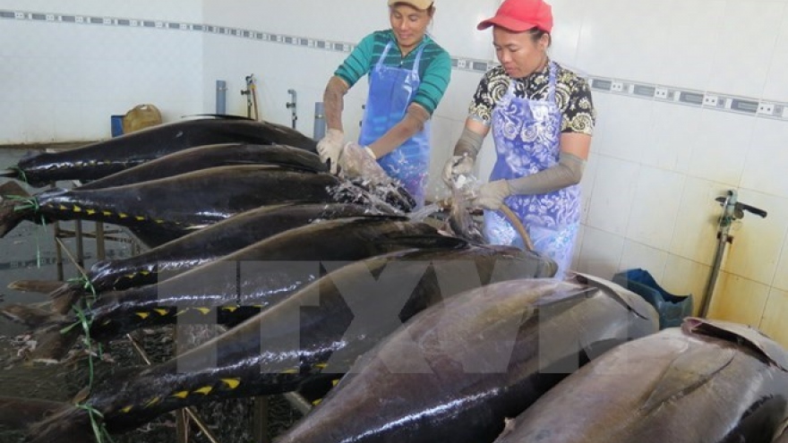 Binh Dinh tuna brand announced