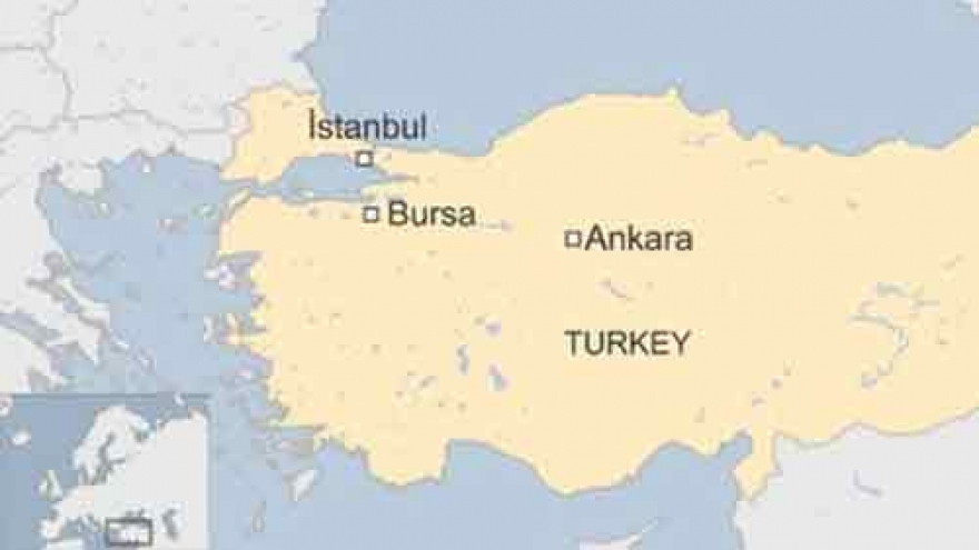 Female suicide bomber wounds eight in Turkish city of Bursa