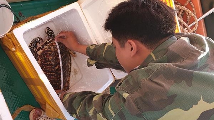 Management board tries to keep Con Dao National Park clean