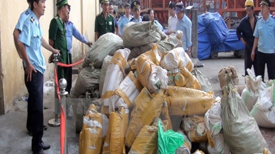 Two tonnes of suspected elephant tusks found at Sai Gon port