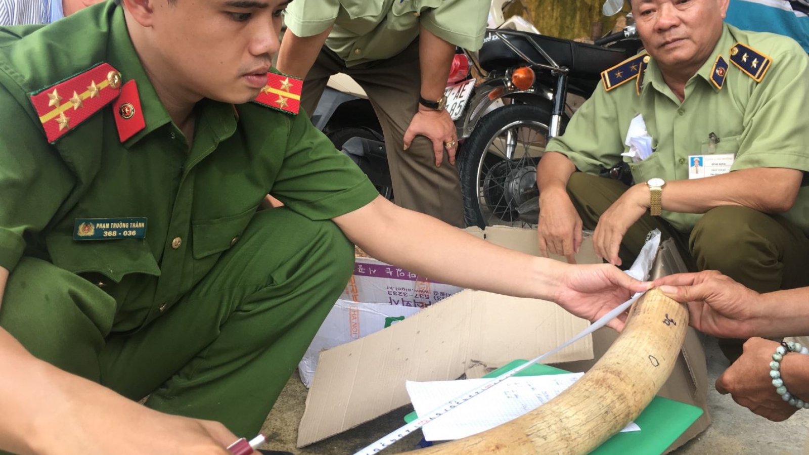 Nearly 20 kg of suspected elephant tusks seized in Binh Dinh