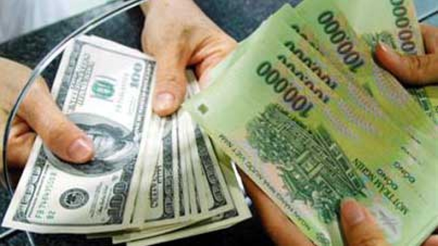 SBV's forex policy must adjust to account for all industries' needs