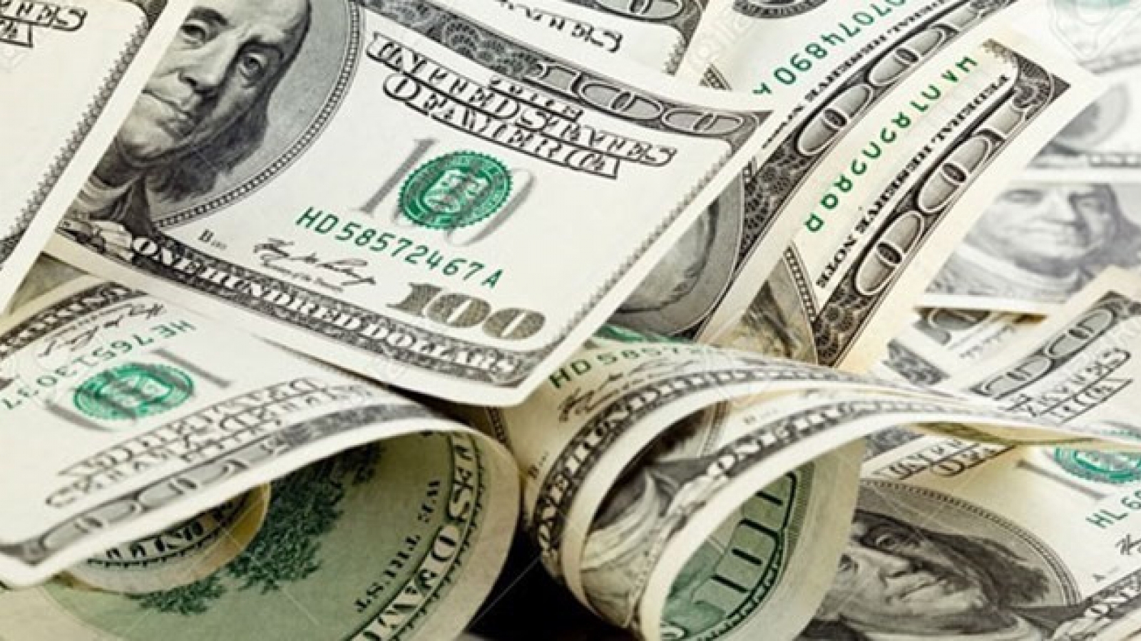 Enterprises warned against exchange rate risks