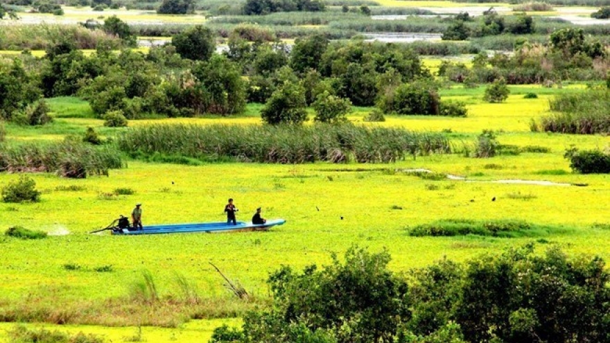 Mekong Delta works to prevent forest fires
