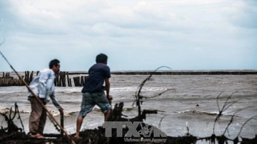 Ca Mau proposes funding priority for climate change projects