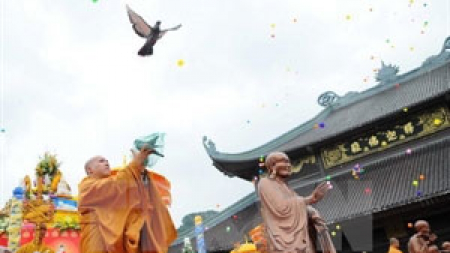 Vietnam engages with UNHRC’s rapporteurs on religious, cultural rights