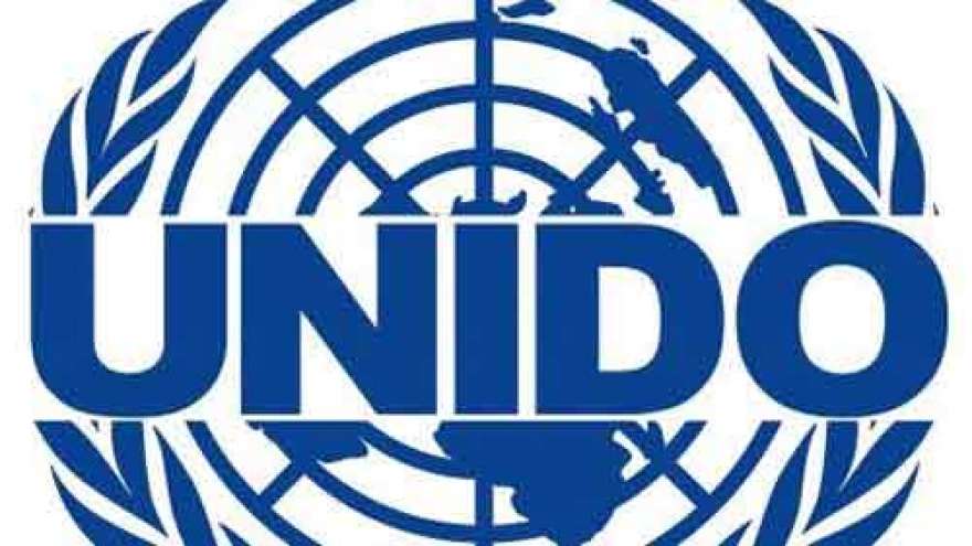 UNIDO official honoured for contributions to Vietnam’s agriculture