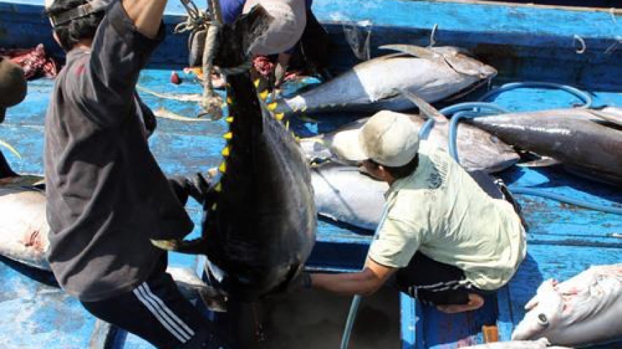 US increases tuna imports from Vietnam