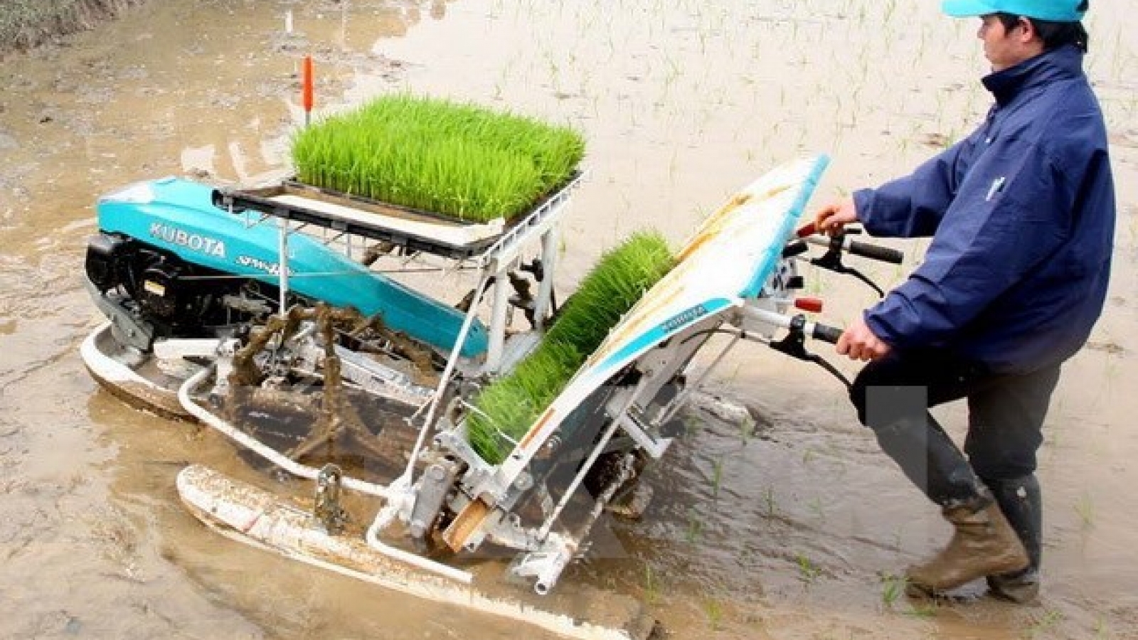 Vietnam seeks more int’l help for sustainable agriculture