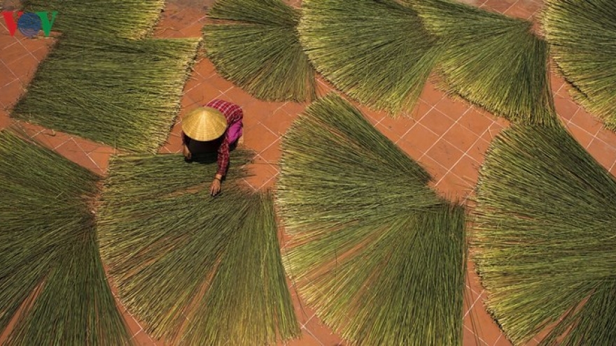 The art of rush weaving in Hue's Pho Trach Village