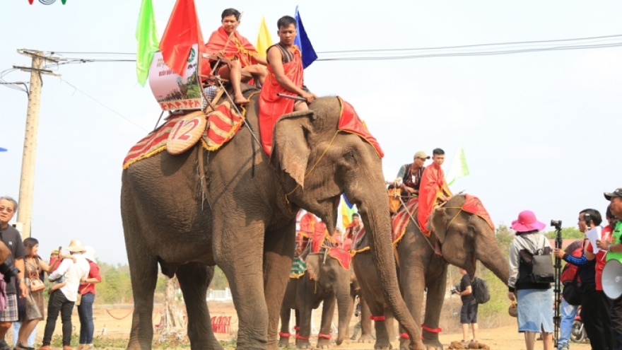 Buon Don elephant festival excites crowds in Dak Lak