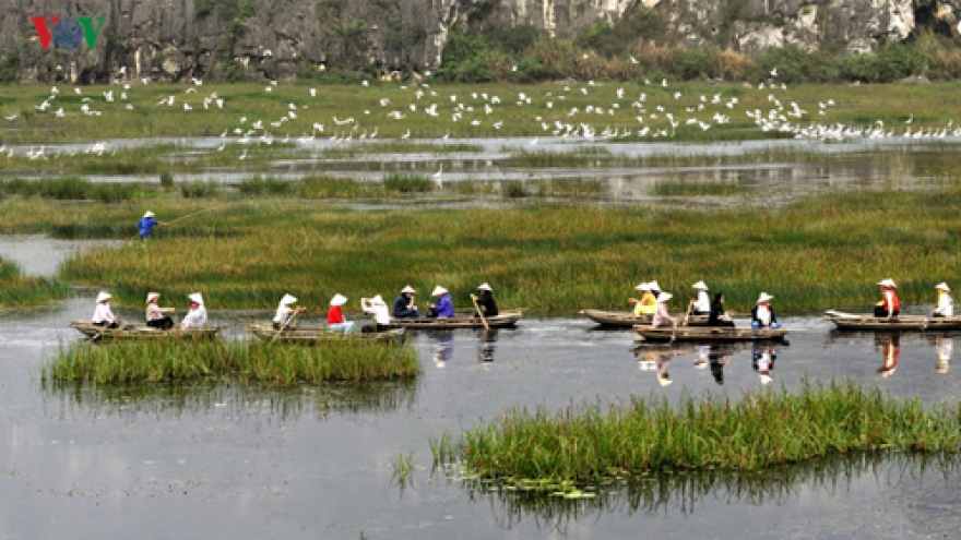 Discovering the nation’s latest Ramsar site Van Long Lagoon 