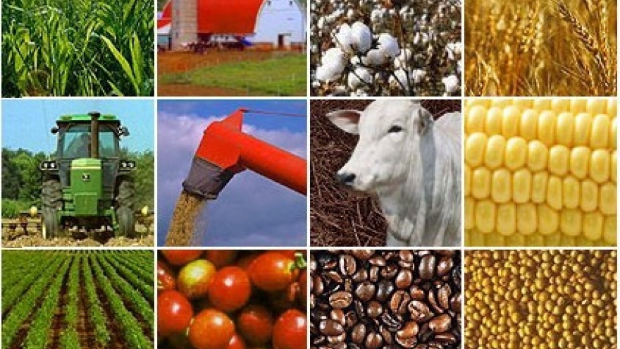 Vietnam promotes its products in Czech Republic