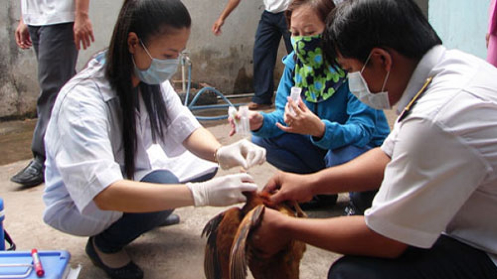 Vietnam gains achievements in vaccine production