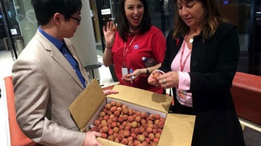 
        Vietnamese lychees get shelf space in Western Australia
                              
