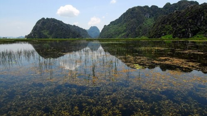
        'Kong: Skull Island' casts more than 40 Vietnamese as extras
                              