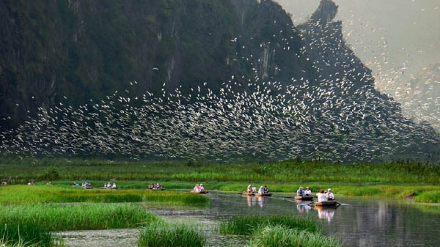 Vietnam protects biodiversity for sustainable development