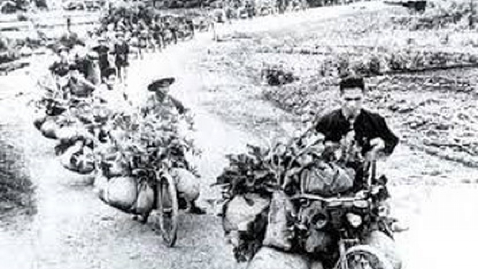 Dien Bien Phu victory in foreign press