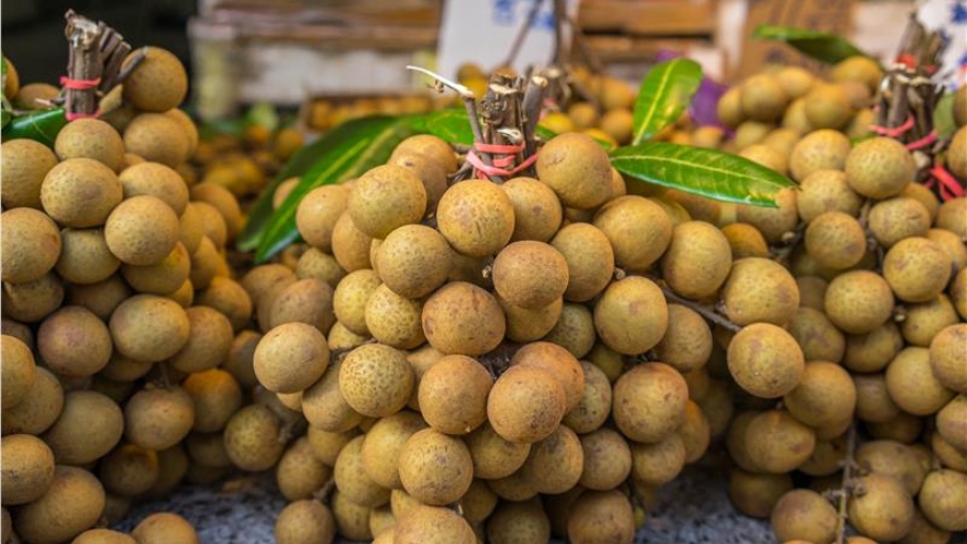 
        Vietnamese longan reaches US market
                              