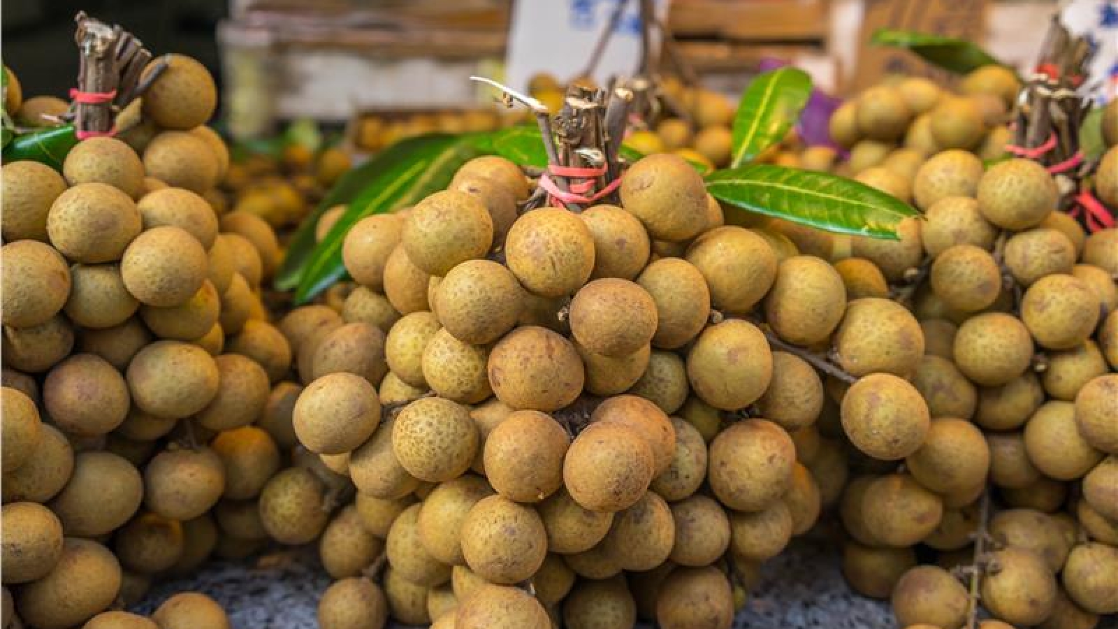 Vietnamese longan reaches US market