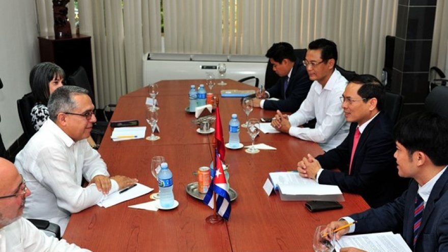 Vietnam, Cuba hold fifth political consultation