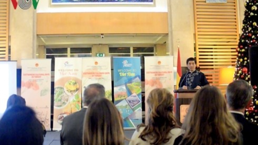 Embassy hosts Vietnamese Cultural Days in Turkey
