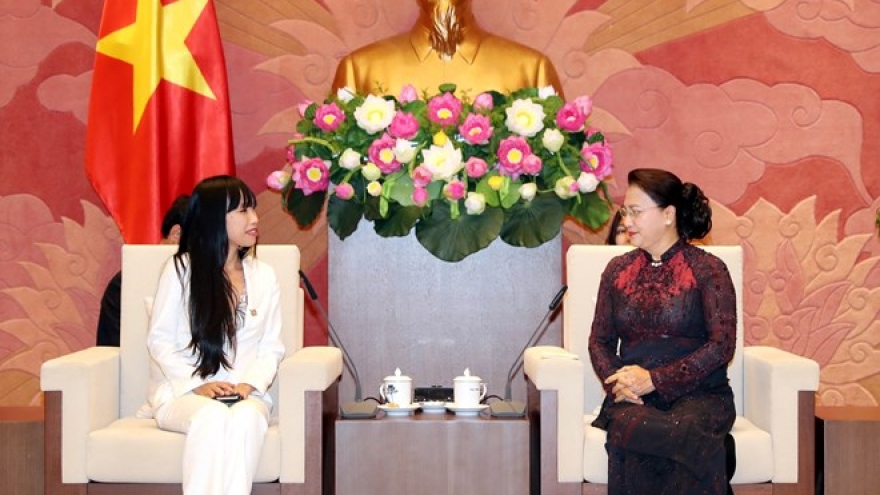 NA leader welcomes head of France-Vietnam Friendship Parliamentary Groups