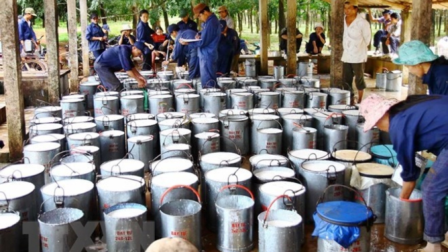 Rubber industry needs better adaptation to market