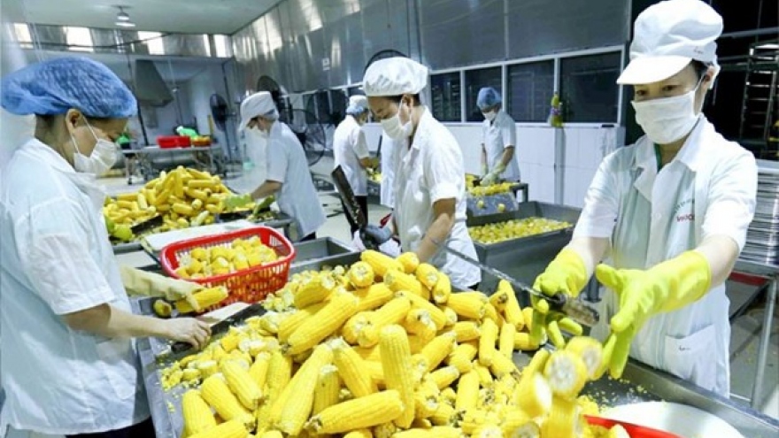 Vietnam seeks to boost fruit-veggie-flower exports to Asia, Europe