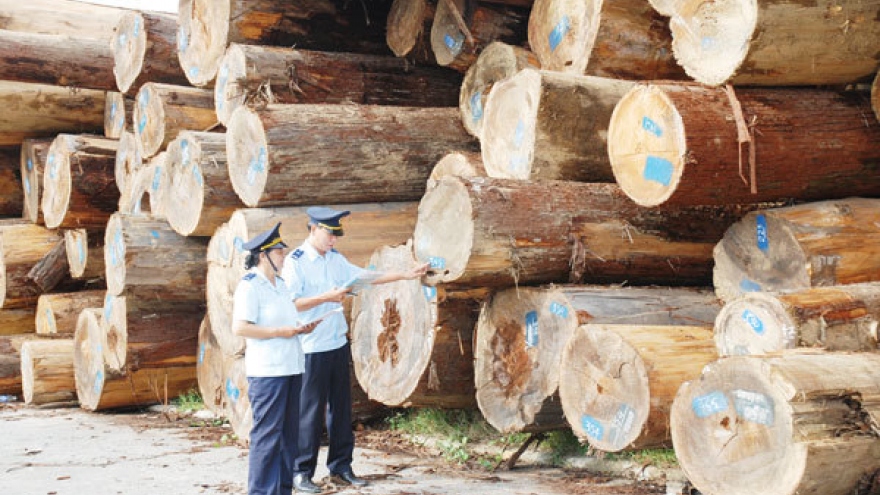 Vietnam warned of risks in importing timber from Africa