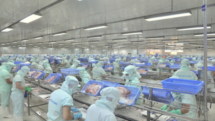 US catfish feeding program in Vietnam successful