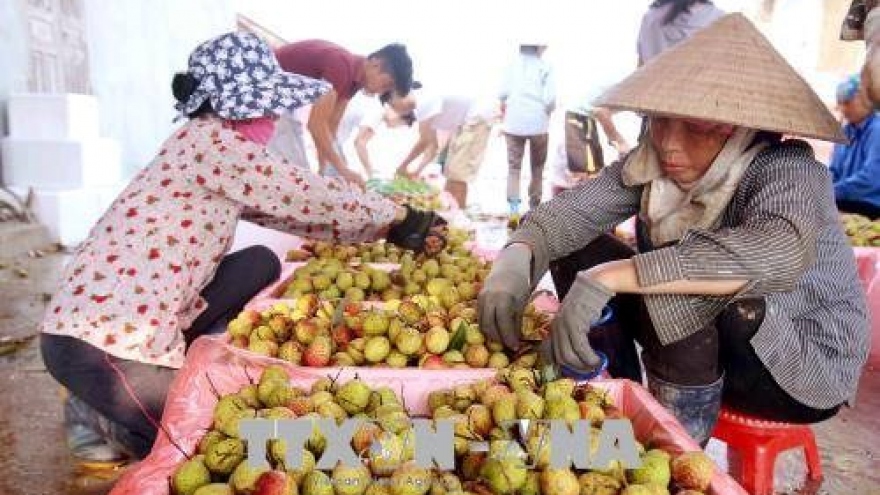 Vietnam, China to enhance trade on farm produce