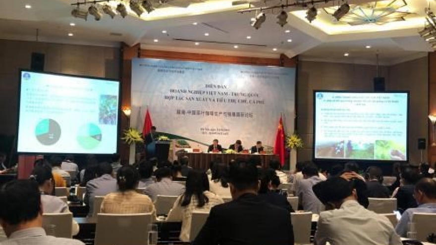 Vietnam, China cooperate in tea, coffee production