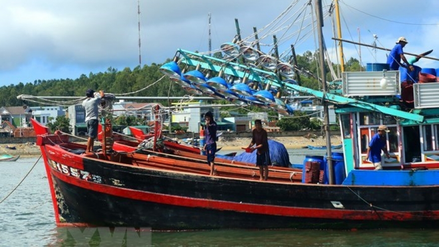 Phu Yen takes urgent measures against illegal fishing