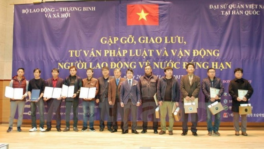 Vietnamese workers in RoK receive consultations
