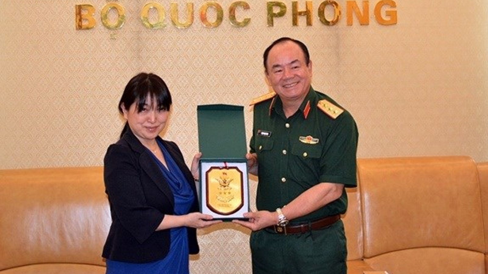 Defence ministry supports Vietnam-Japan peacekeeping cooperation: officer