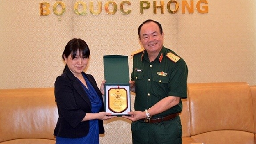 Defence ministry supports Vietnam-Japan peacekeeping cooperation: officer