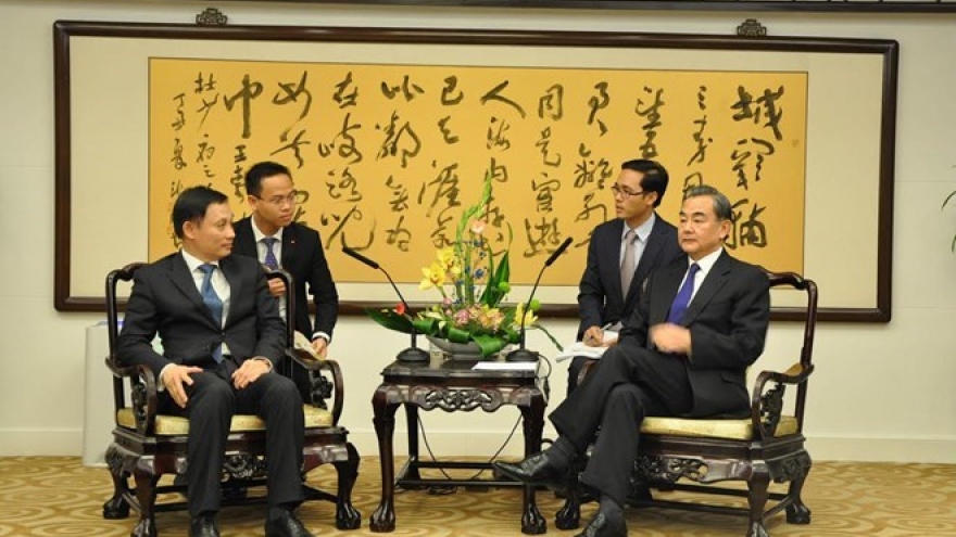 Border, territorial issues critical to Vietnam-China ties: official