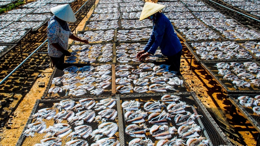
        Preparations underway as Nghe An’s fishing villages gear up for Tet
                          
                      