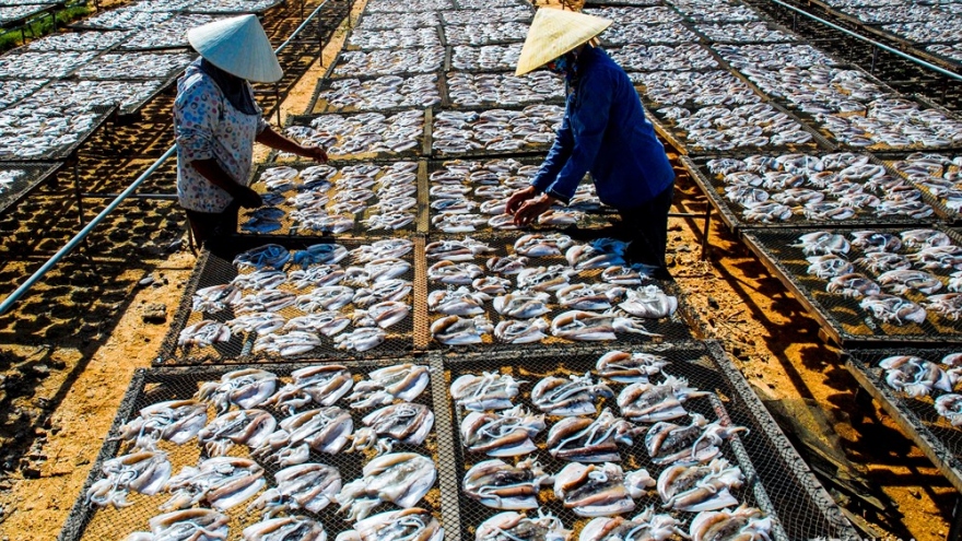 Preparations underway as Nghe An’s fishing villages gear up for Tet