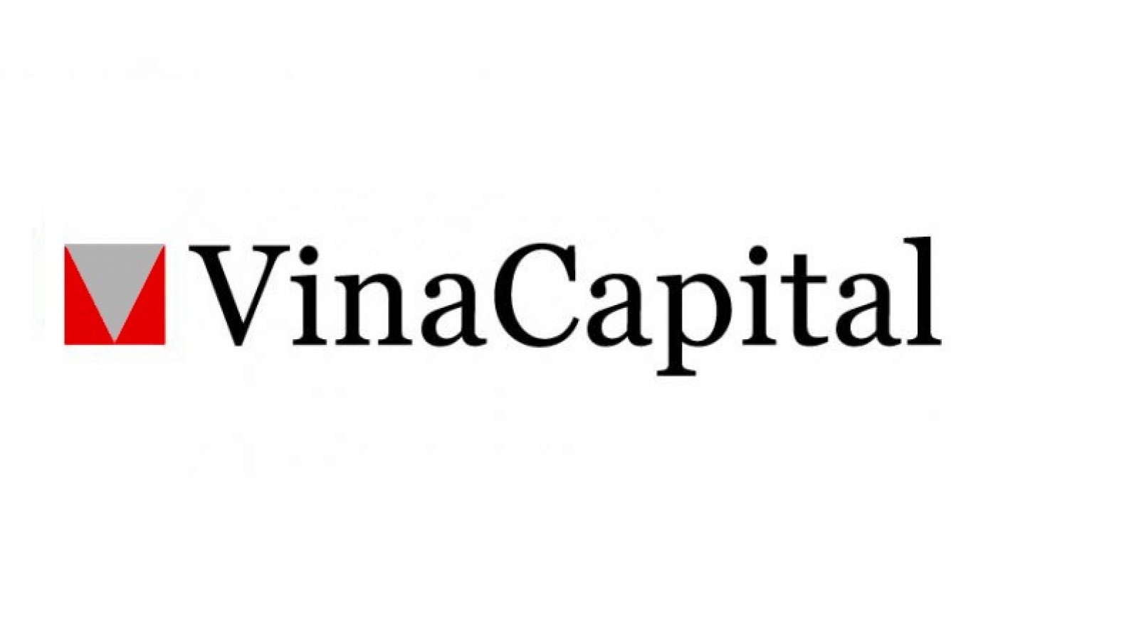VinaCapital buys BSR and PV Power shares for US$45 million