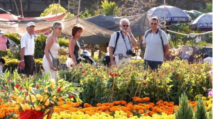 More visitors spend Tet holiday in Danang, Ca Mau