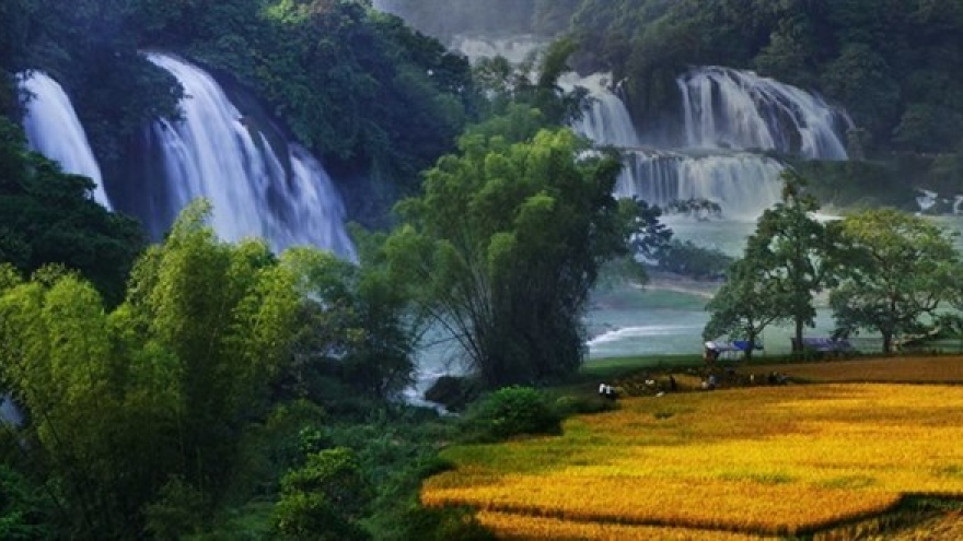 Festival in honour of Vietnam’s widest waterfall